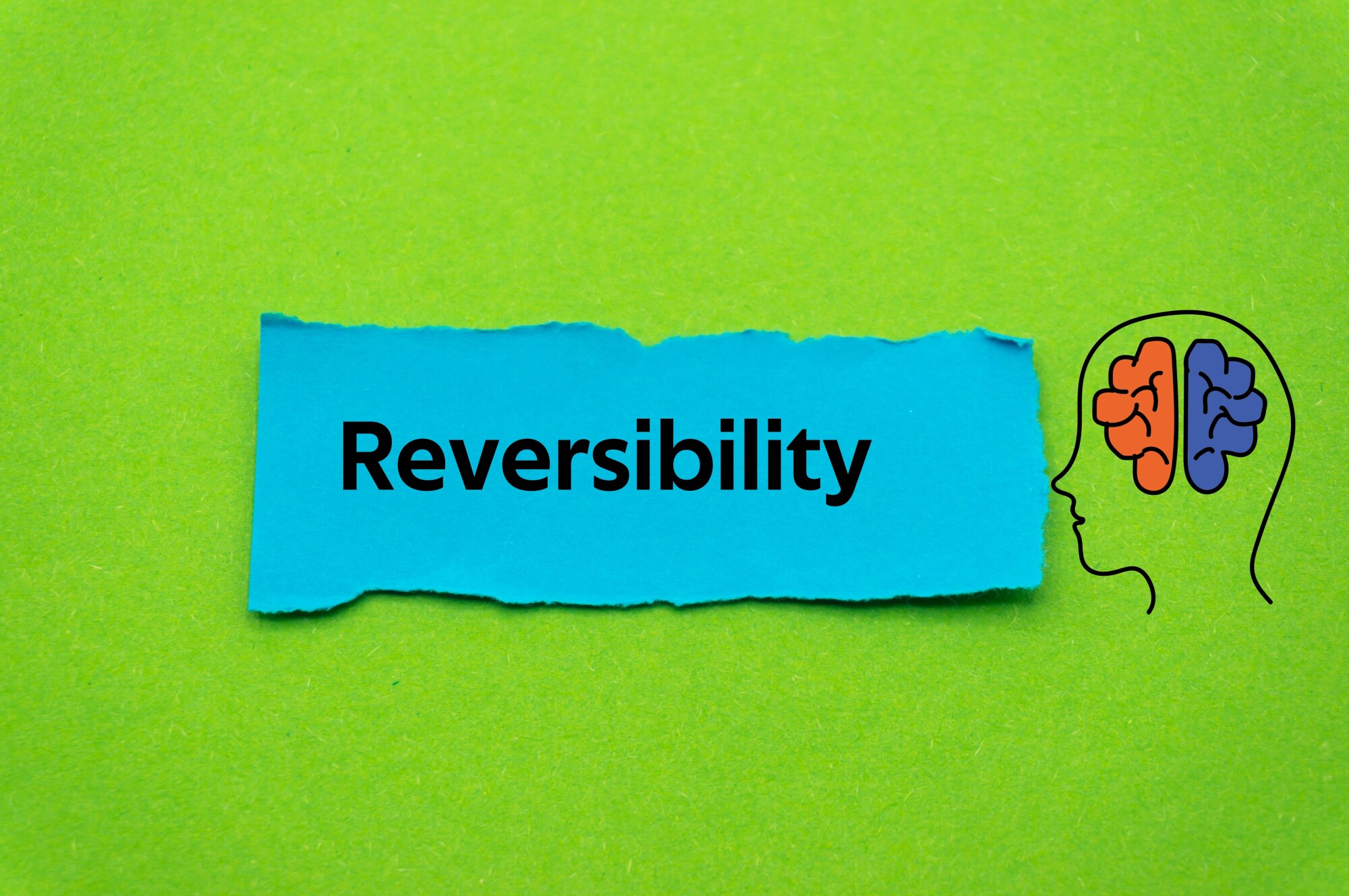 The word “Reversibility” on a torn sheet of blue paper, to the left of a stylized human head having a two-part brain with the left side in red and the right side in blue, all over a green background.