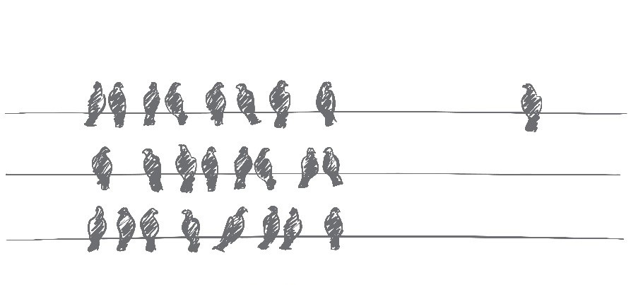 sketch with three wires with pigeons clustered on them and one pigeon separated from the others.