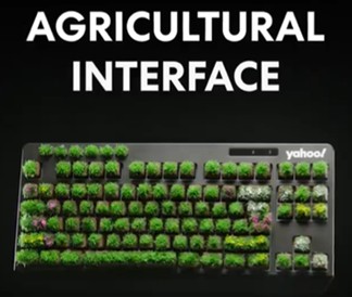 grass computer keyboard