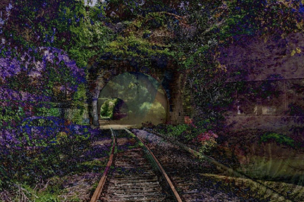 Head-on view of a single pair of slightly curved railroad tracks disappearing into the distance and surrounded by a tunnel of dense trees and flowers. 