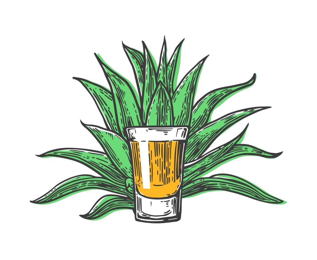 Filled shot glass in front of agave plant