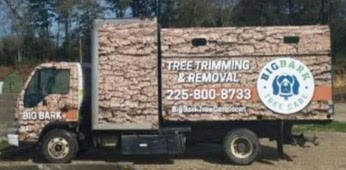 Truck covered with a tree bark design with BIG BARK on the cab.  The side says “Tree Trimming & Removal” above a phone number and website address to the right of which is a circle with BIGBARK  superimposed around the top  and “Tree Care ” superimposed around the bottom with a picture of a dog’s head in the middle